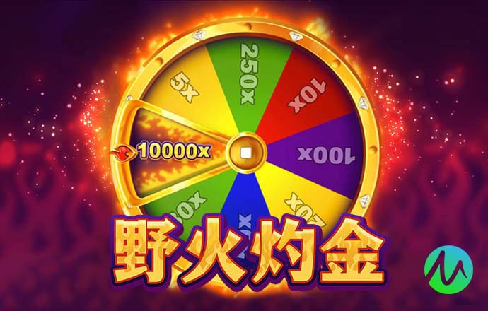龙物网站永不失联